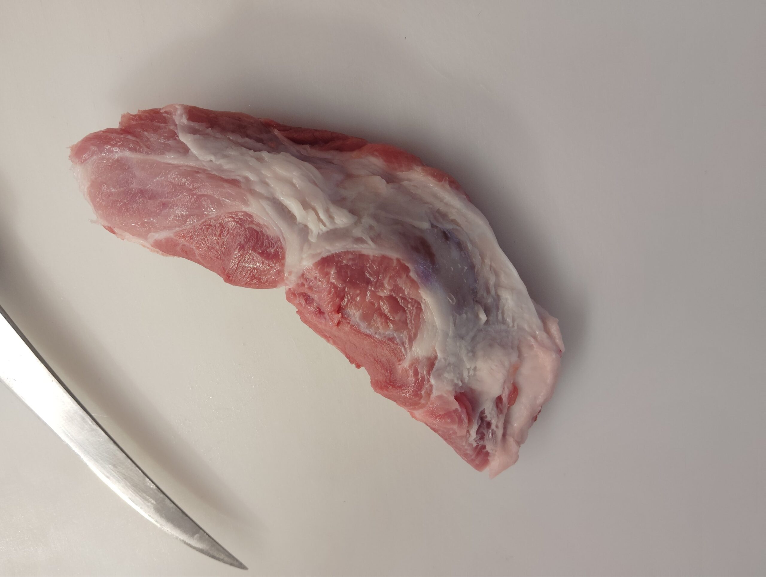 月亮軟骨:圖片 2